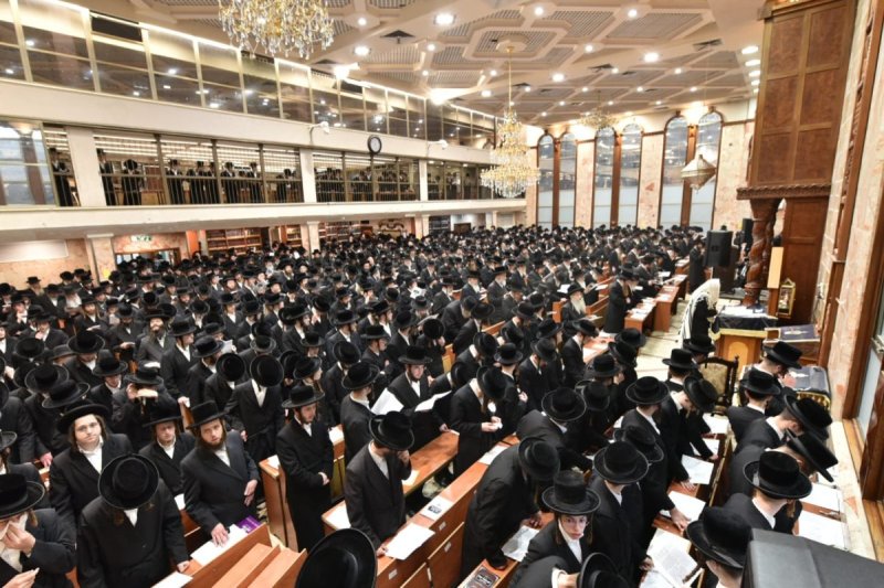 שלומי טריכטר ושלום קרויס