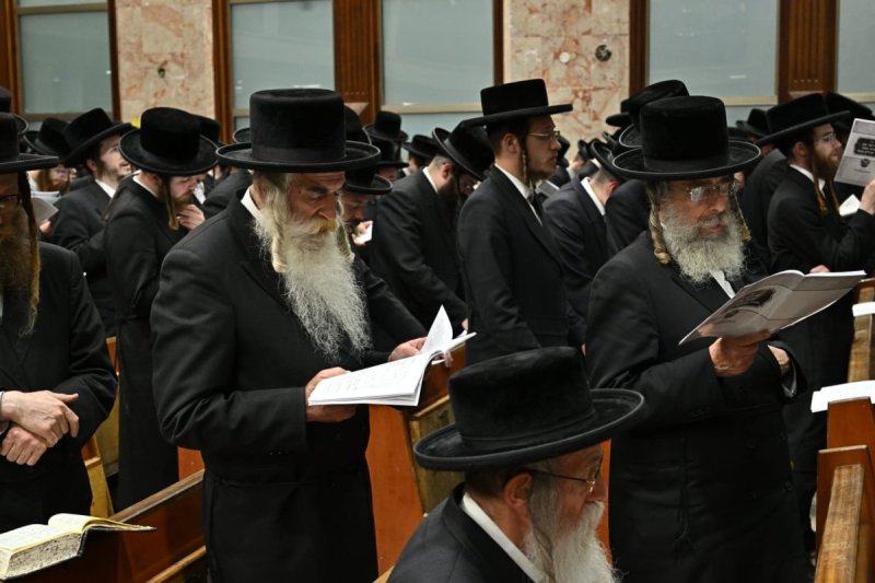 שלומי טריכטר ושלום קרויס