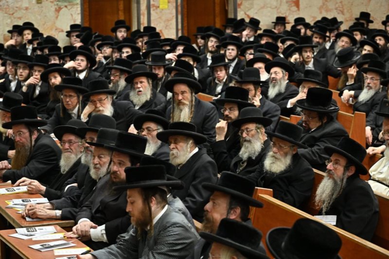 שלומי טריכטר ושלום קרויס