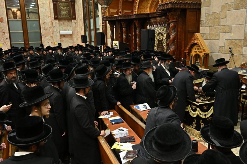 שלומי טריכטר ושלום קרויס