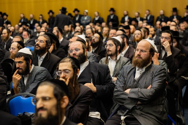 אנשיל בעק וחיים טויטו