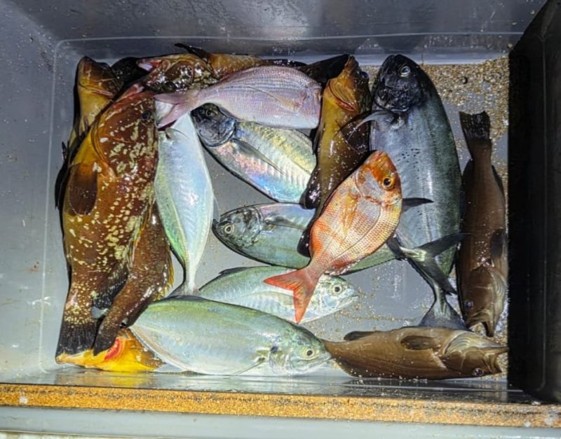 רשות הטבע והגנים