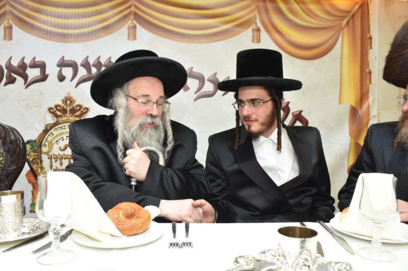 יהודה פרקוביץ