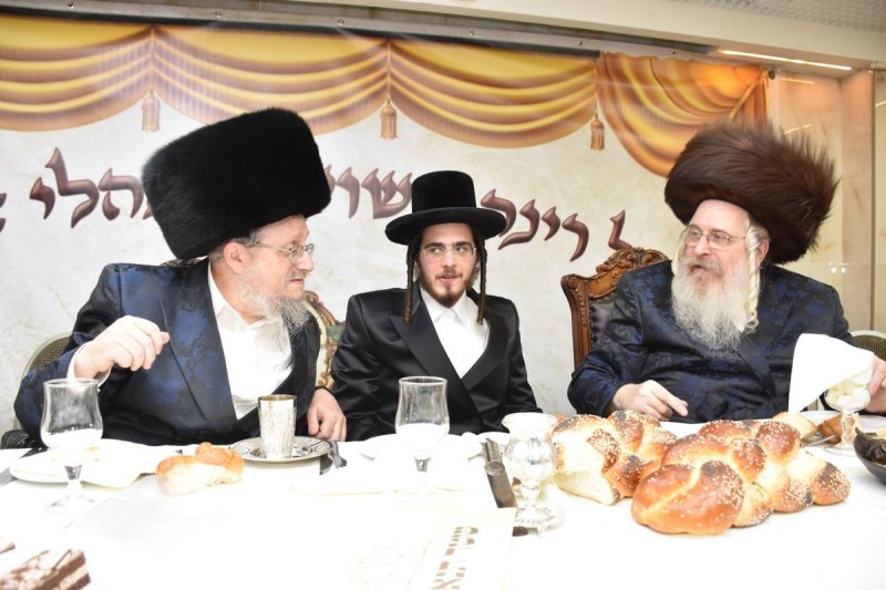 יהודה פרקוביץ