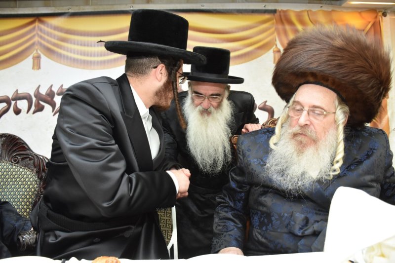 יהודה פרקוביץ