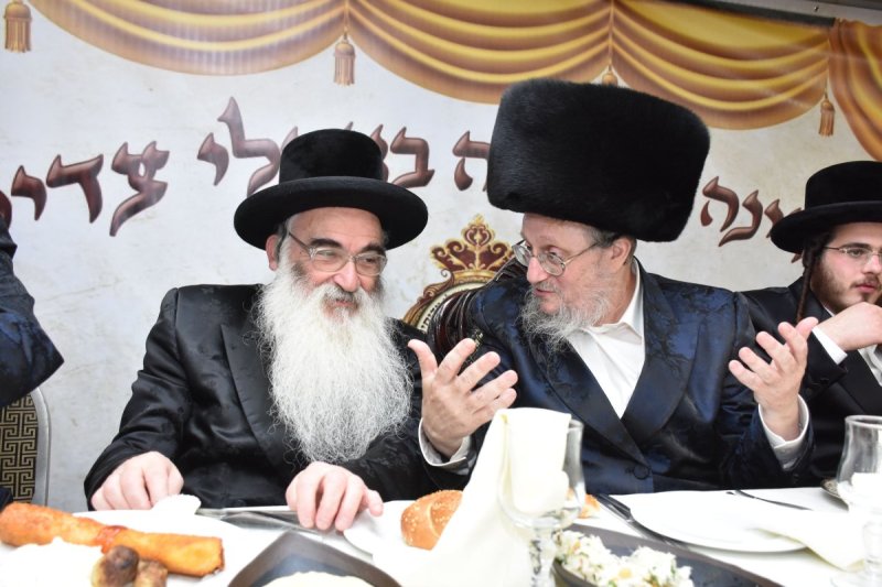 יהודה פרקוביץ