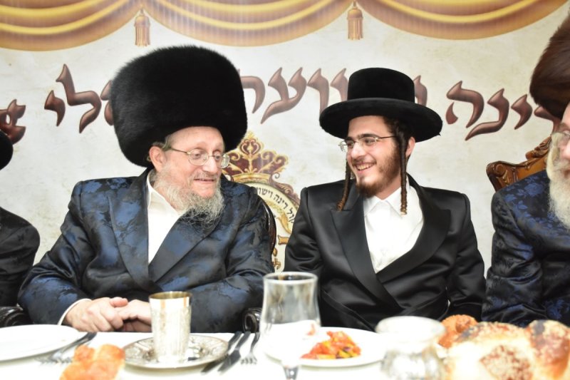 יהודה פרקוביץ