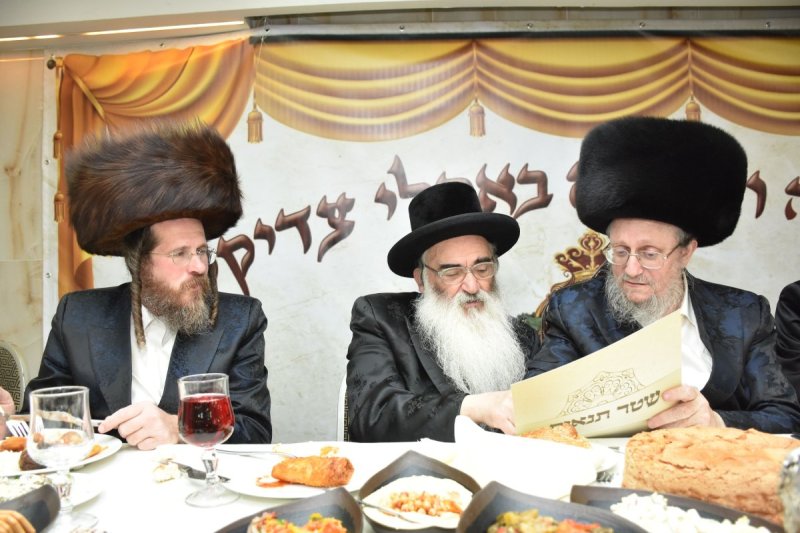 יהודה פרקוביץ