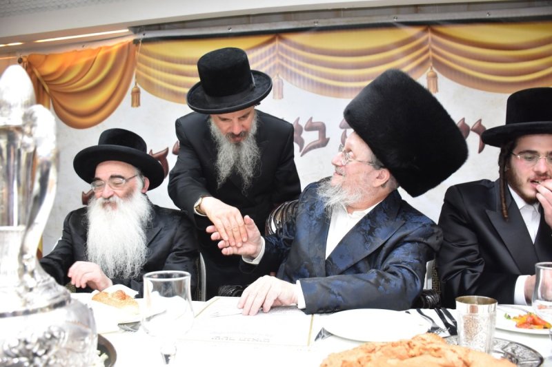 יהודה פרקוביץ