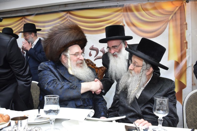 יהודה פרקוביץ