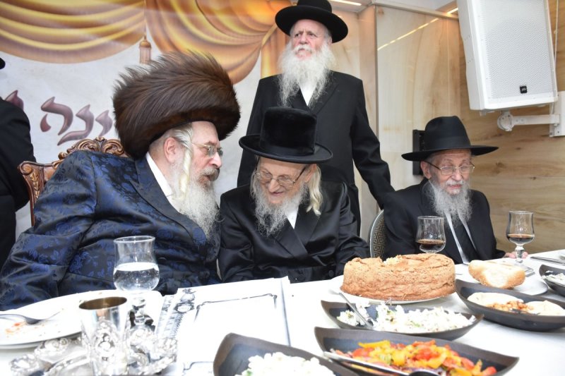 יהודה פרקוביץ