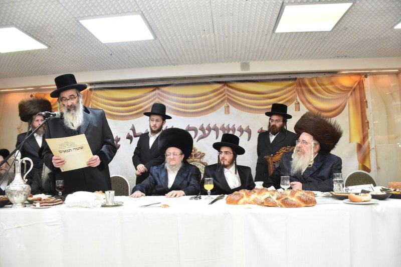 יהודה פרקוביץ