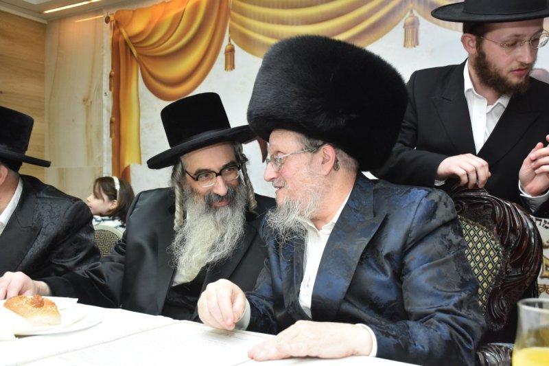 יהודה פרקוביץ