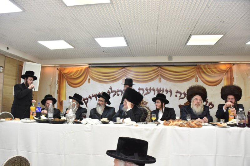 יהודה פרקוביץ