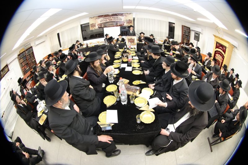 שלומי טריכטר