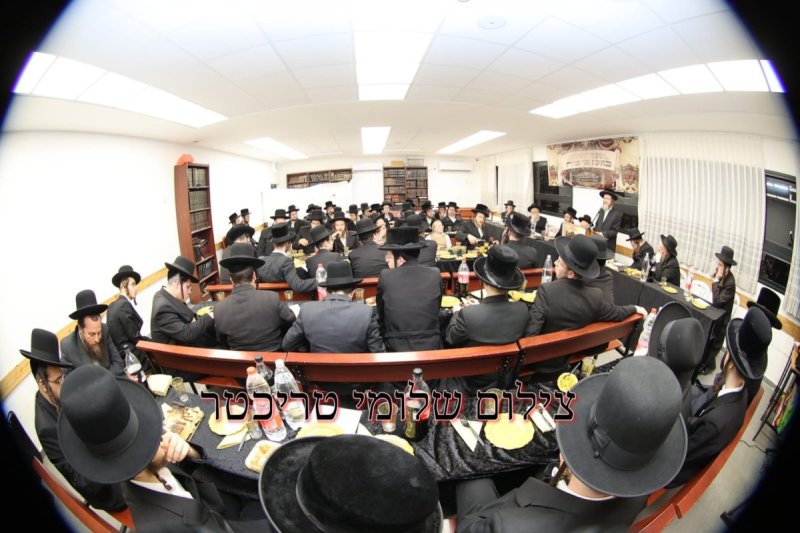 שלומי טריכטר