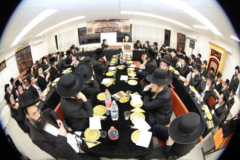 שלומי טריכטר