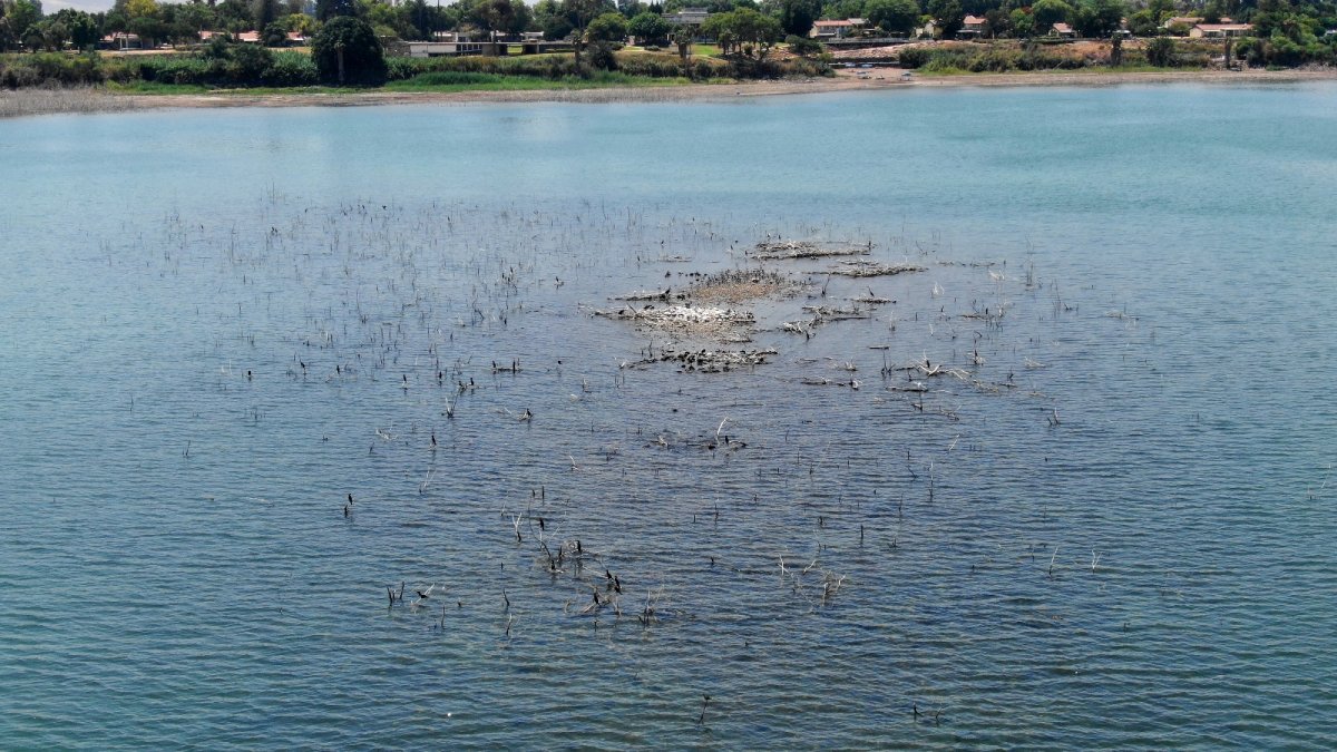 איגוד ערים כינרת