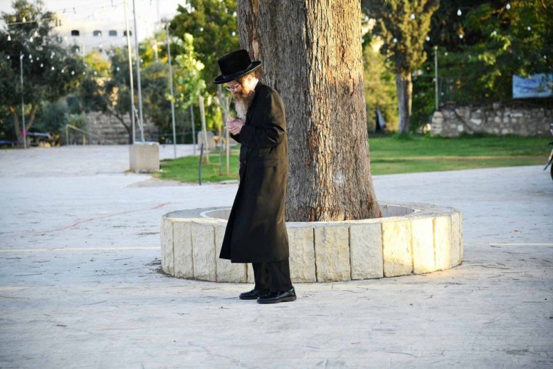 ארי קופרשטוק