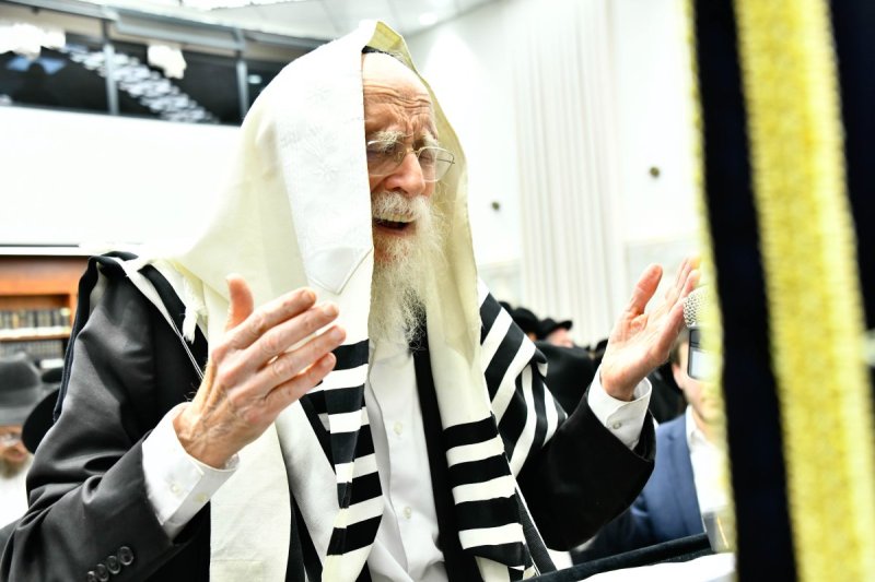 שוקי לרר
