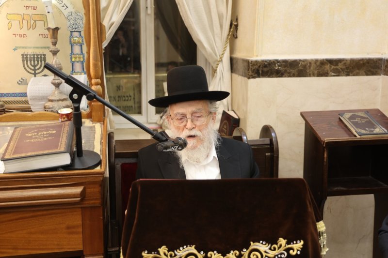 שלומי טריכטר