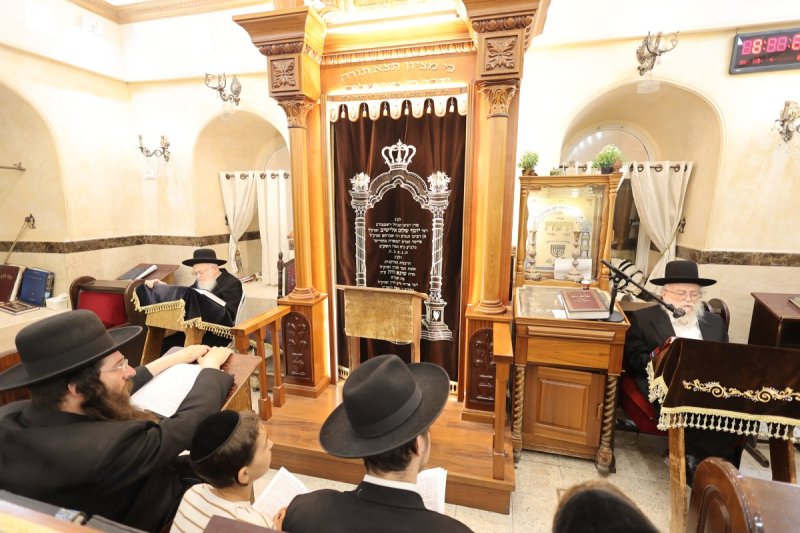 שלומי טריכטר