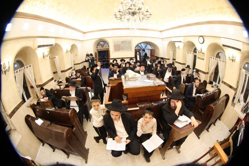 שלומי טריכטר