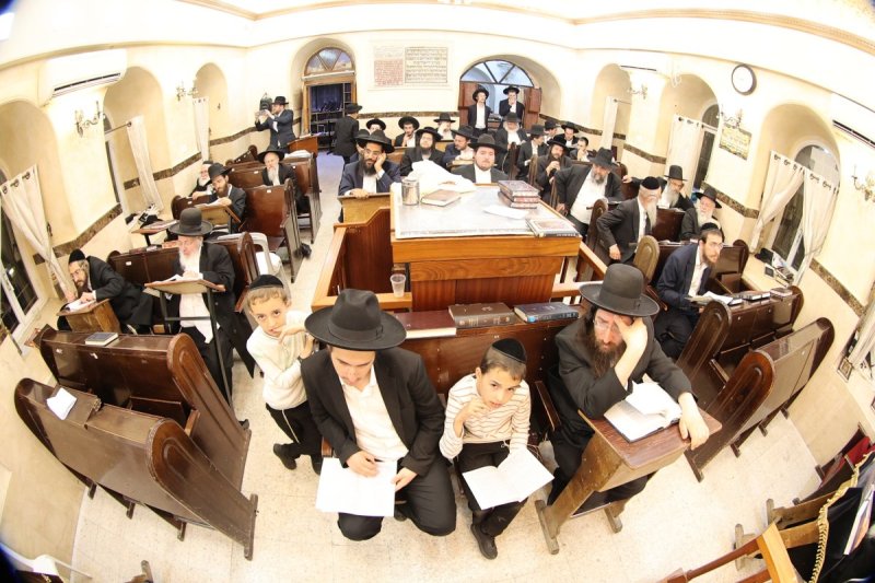 שלומי טריכטר