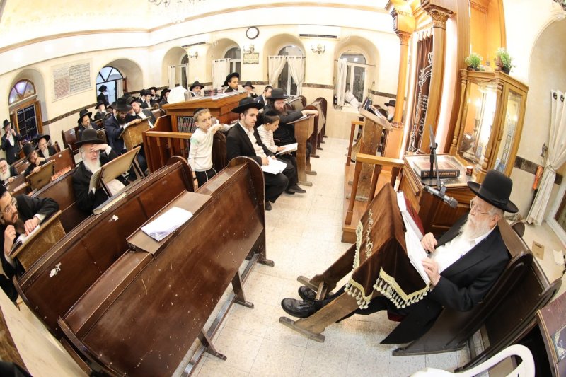 שלומי טריכטר