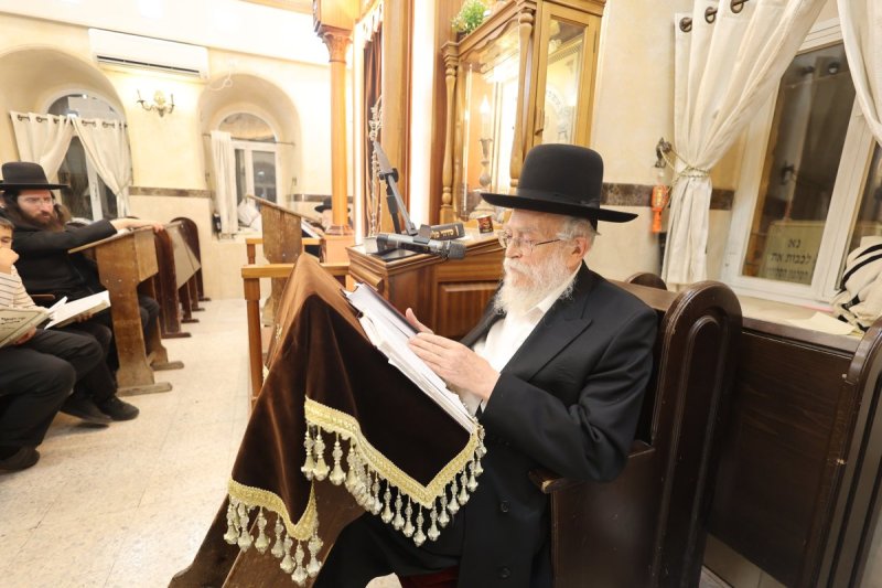 שלומי טריכטר