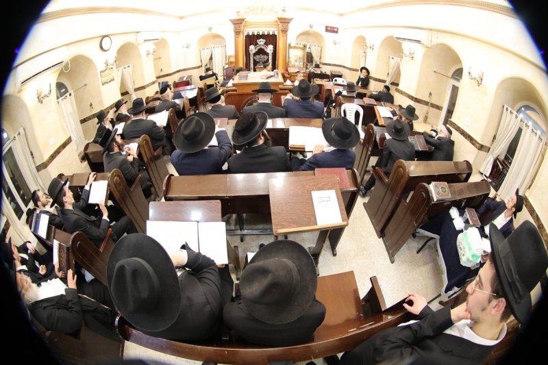 שלומי טריכטר