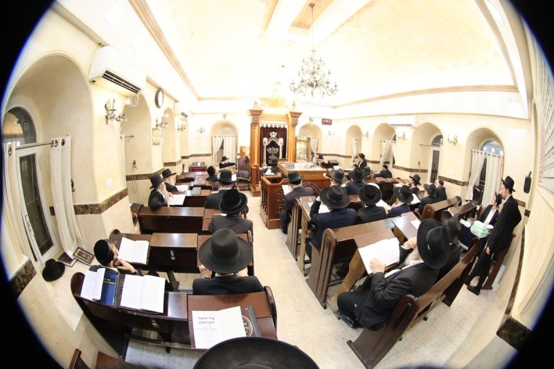 שלומי טריכטר