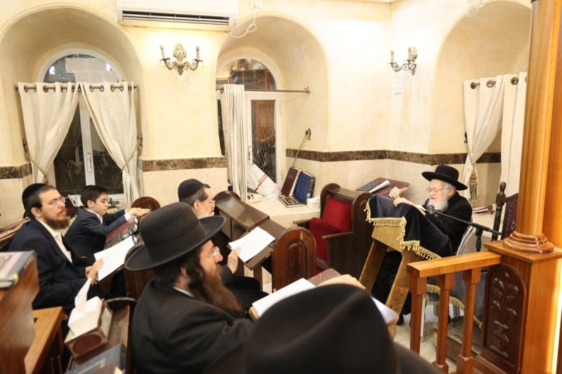 שלומי טריכטר