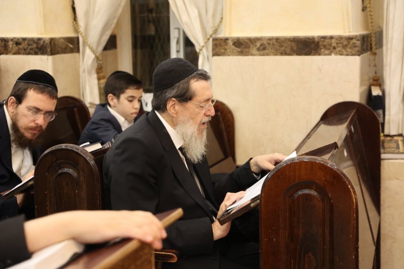 שלומי טריכטר