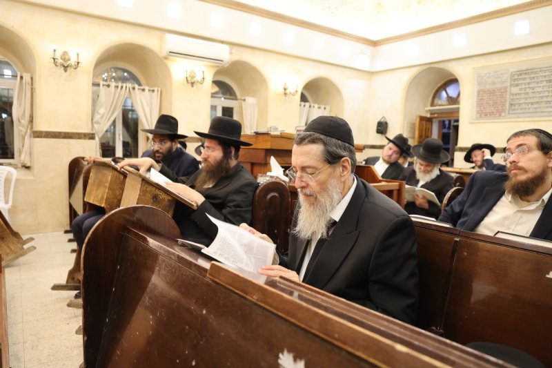 שלומי טריכטר