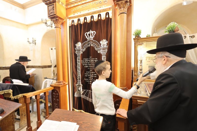 שלומי טריכטר