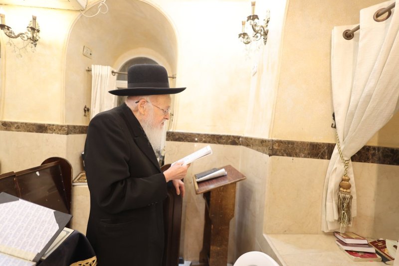 שלומי טריכטר