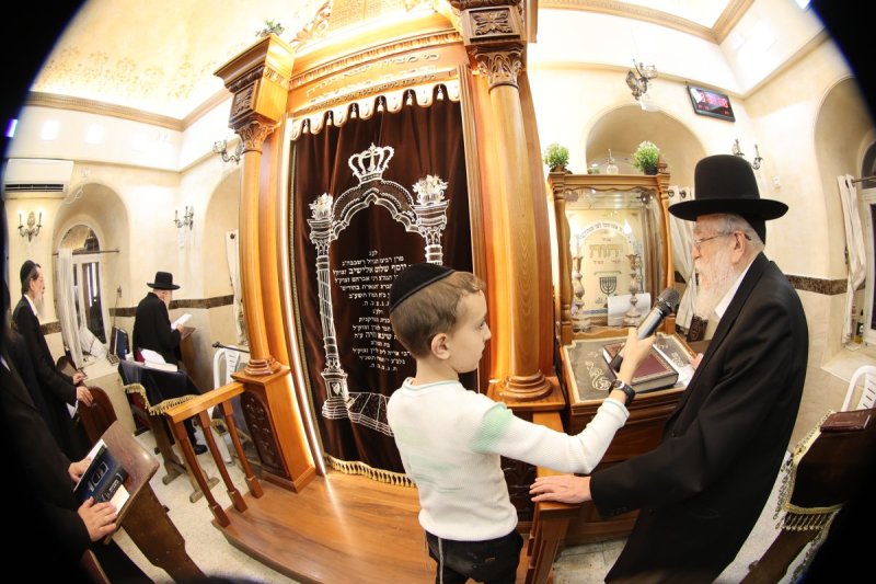 שלומי טריכטר