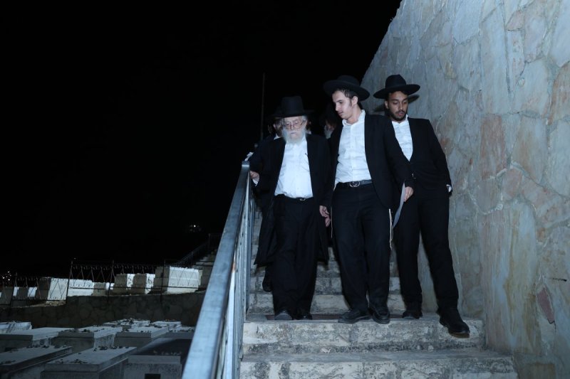 שלומי טריכטר