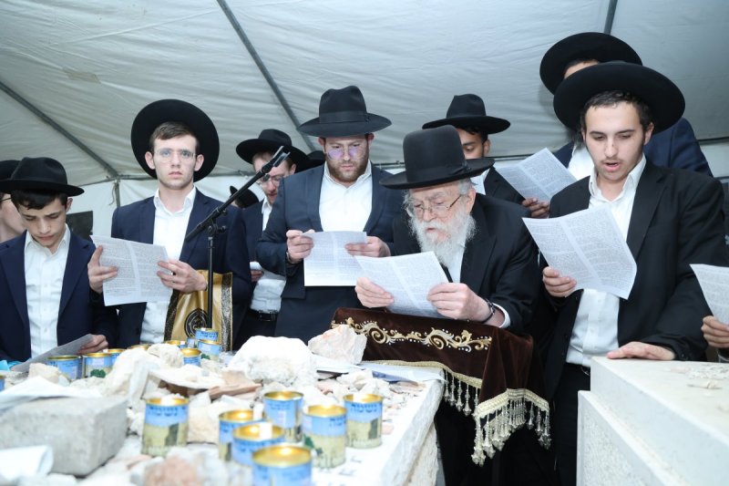 שלומי טריכטר