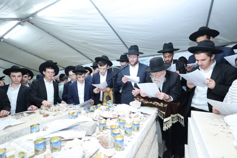 שלומי טריכטר