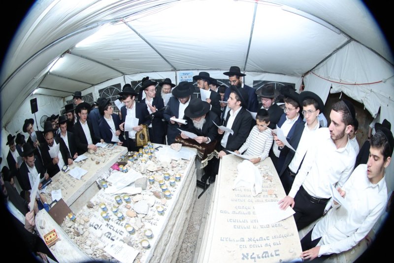 שלומי טריכטר