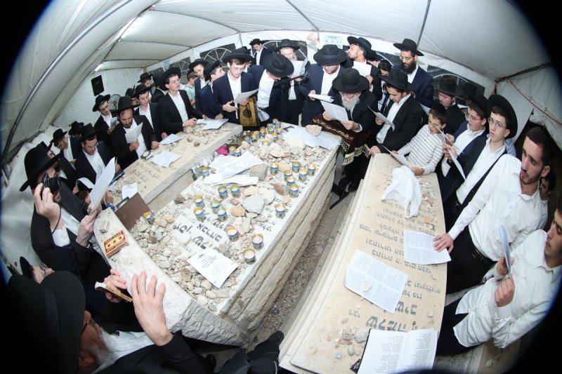 שלומי טריכטר