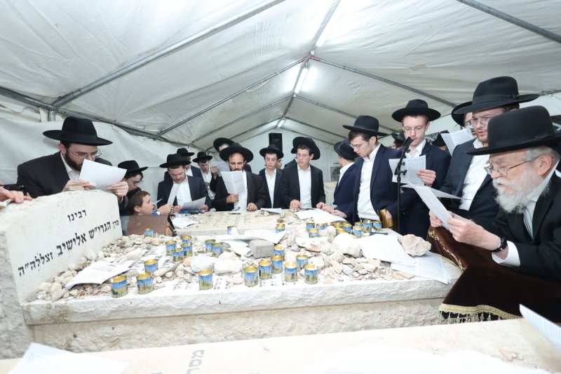 שלומי טריכטר