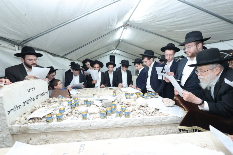 שלומי טריכטר