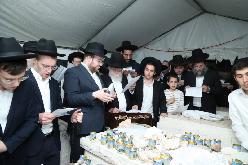 שלומי טריכטר