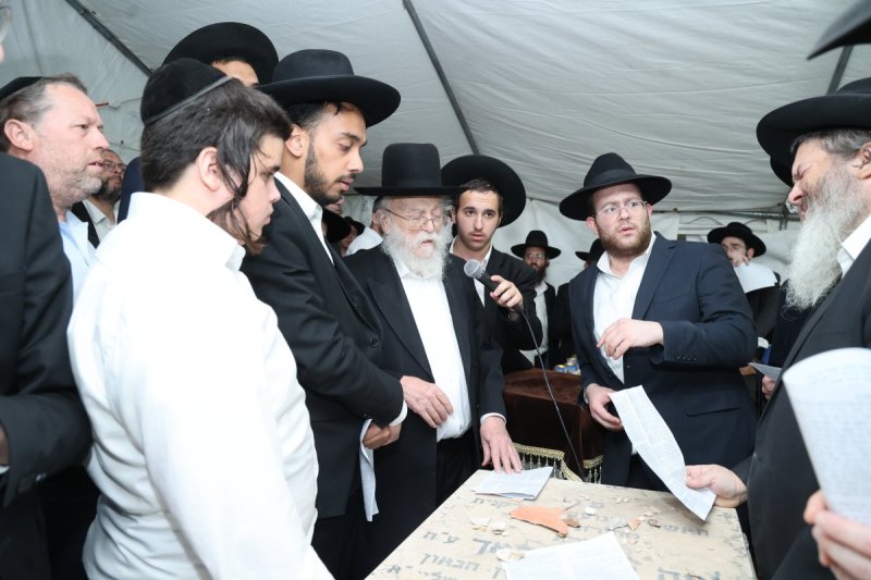 שלומי טריכטר