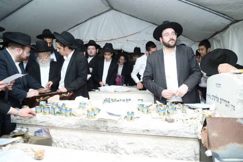 שלומי טריכטר