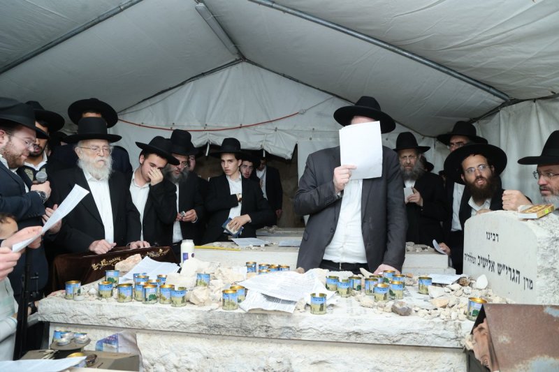 שלומי טריכטר