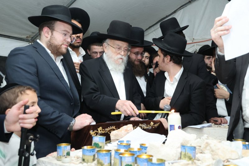 שלומי טריכטר